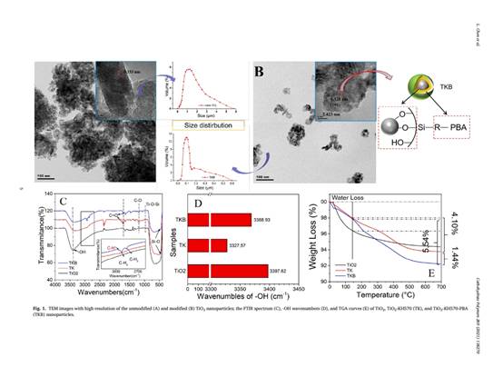 Functional nanoparticle陈磊 reinforced starch-based(2)